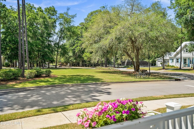 3 Veridian Park E, Beaufort, SC 29907 - view of property's community featuring view of scattered trees and a yard