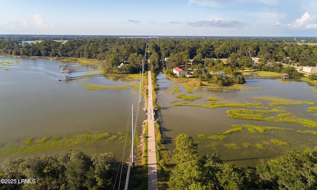 900 Brotherhood Rd Unit J6, Beaufort, SC 29902 - birds eye view of property with a water view and a view of trees