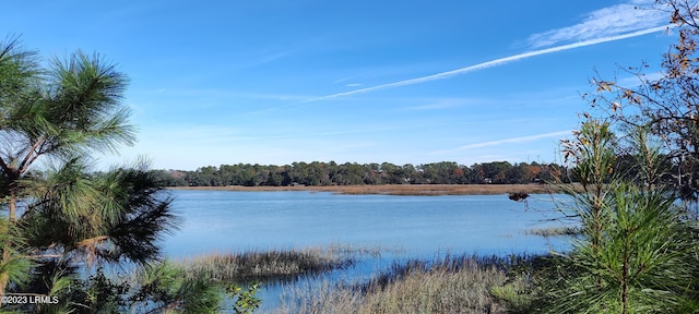 1272 Windswept Oak Ln, Beaufort, SC 29902 - view of water feature