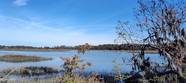 1272 Windswept Oak Ln, Beaufort, SC 29902 - water view