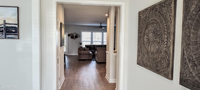 1272 Windswept Oak Ln, Beaufort, SC 29902 - corridor featuring dark wood-type flooring