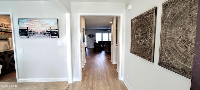 1272 Windswept Oak Ln, Beaufort, SC 29902 - hall featuring hardwood / wood-style flooring
