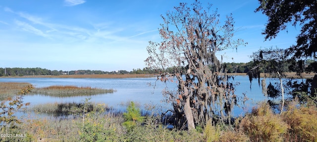 1272 Windswept Oak Ln, Beaufort, SC 29902 - view of water feature