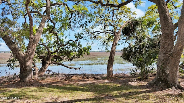 398 Broad River Dr, Beaufort, SC 29906 - photo 45