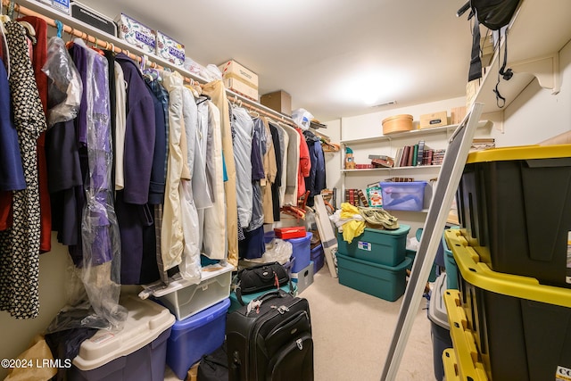 walk in closet featuring carpet flooring