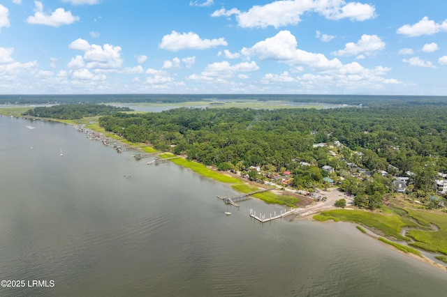 5 Black Fish St, Bluffton, SC 29910 - photo 51