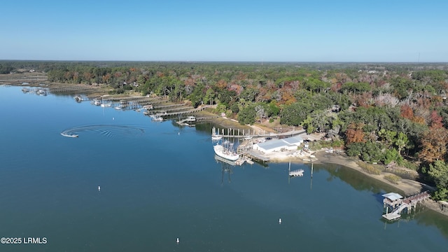 5 Black Fish St, Bluffton, SC 29910 - photo 52