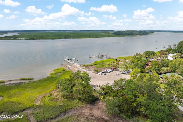 5 Black Fish St, Bluffton, SC 29910 - photo 49
