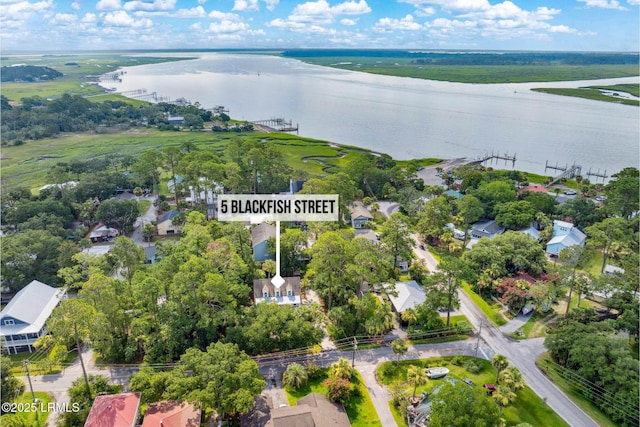 5 Black Fish St, Bluffton, SC 29910 - photo 48