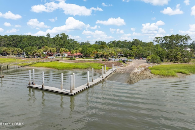 5 Black Fish St, Bluffton, SC 29910 - photo 50