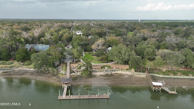 5 Black Fish St, Bluffton, SC 29910 - photo 57