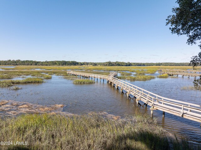 dock area with a water view