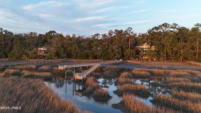 view of water feature with a dock and a forest view