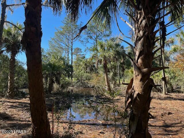 view of nature with a water view