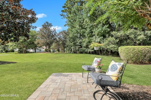 view of yard featuring a patio area