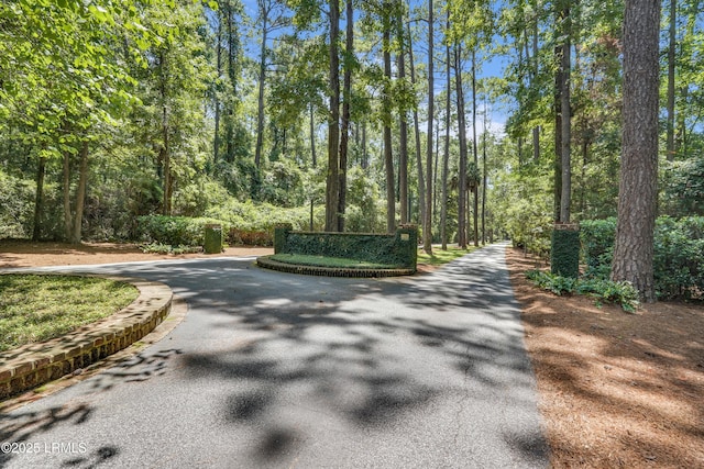 12 Pine View Dr, Bluffton, SC 29910 - photo 28