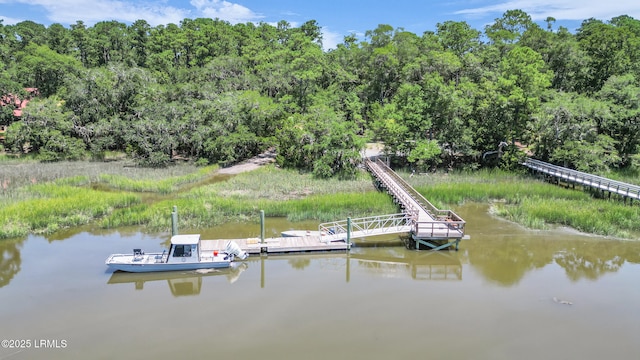 12 Pine View Dr, Bluffton, SC 29910 - photo 33