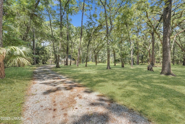 12 Pine View Dr, Bluffton, SC 29910 - photo 24