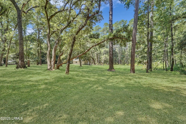 12 Pine View Dr, Bluffton, SC 29910 - photo 21