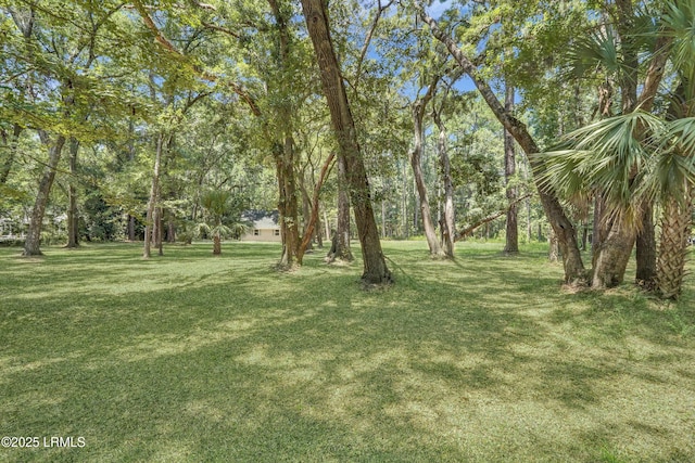 12 Pine View Dr, Bluffton, SC 29910 - photo 22