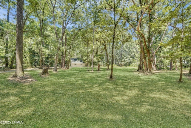 12 Pine View Dr, Bluffton, SC 29910 - photo 23