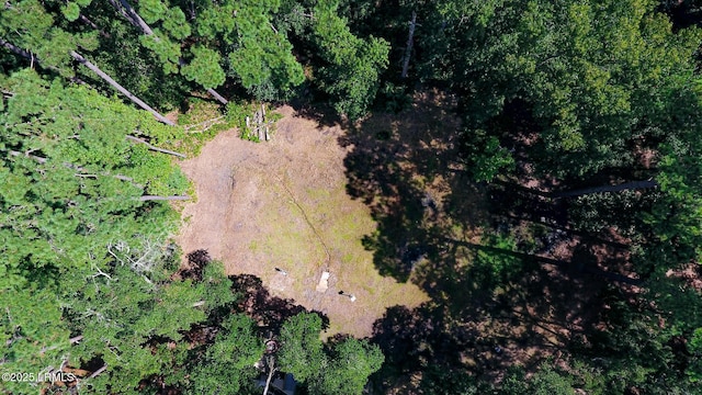 12 Pine View Dr, Bluffton, SC 29910 - photo 26