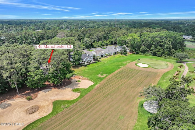 45 Manchester Ct, Bluffton, SC 29910 - aerial overview of property's location featuring a forest