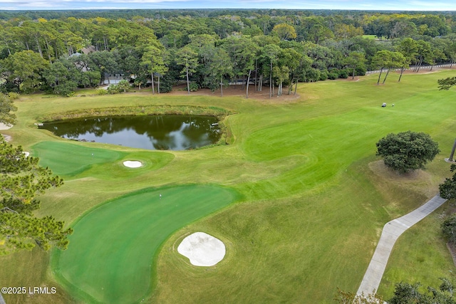 45 Manchester Ct, Bluffton, SC 29910 - surrounding community with a water view