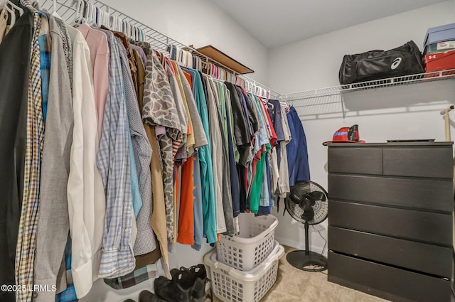 580 Rudy Dr, Hardeeville, SC 29927 - spacious closet with carpet
