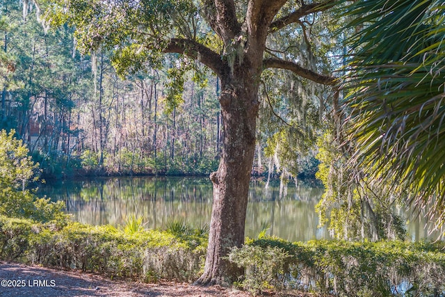 property view of water