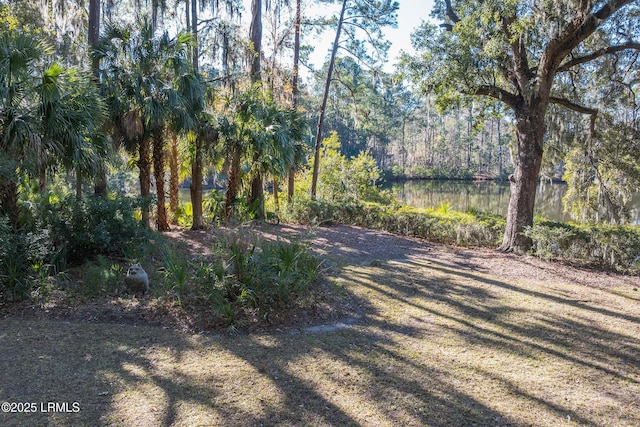 view of yard with a water view