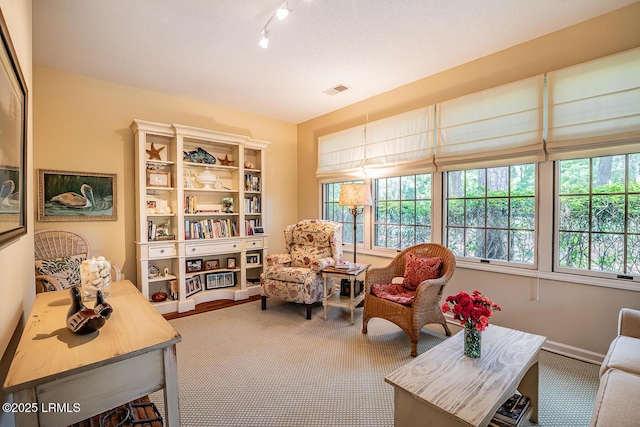 459 Bb Sams Dr, Saint Helena Island, SC 29920 - living area with rail lighting and carpet