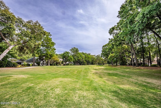 459 Bb Sams Dr, Saint Helena Island, SC 29920 - view of yard
