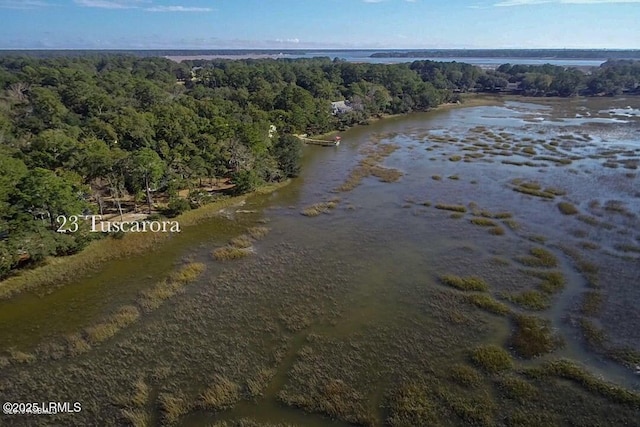 23 Tuscarora Ave, Beaufort, SC 29907 - photo 60