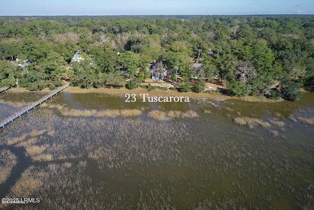 23 Tuscarora Ave, Beaufort, SC 29907 - photo 3