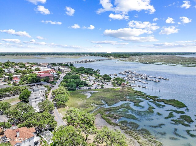 1215 Prince St, Beaufort, SC 29902 - photo 40
