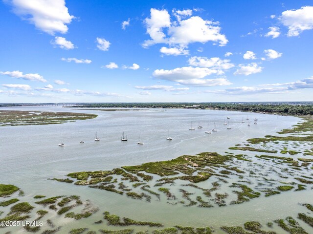 1215 Prince St, Beaufort, SC 29902 - photo 43