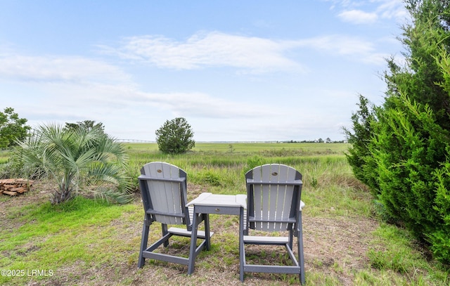 18 Sand Dollar Ct, Harbor Island, SC 29920 - view of yard featuring a rural view