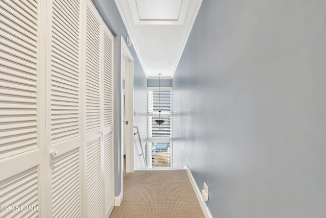 hallway with crown molding and carpet