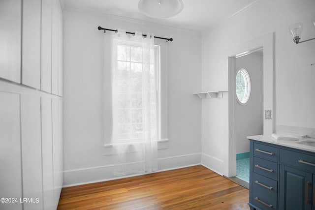 bathroom featuring hardwood / wood-style flooring and vanity