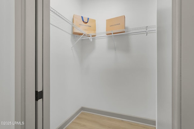 spacious closet featuring wood finished floors