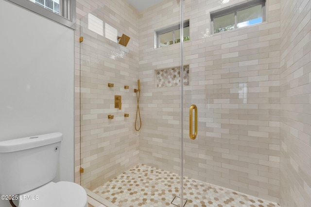 full bath featuring a shower stall and toilet