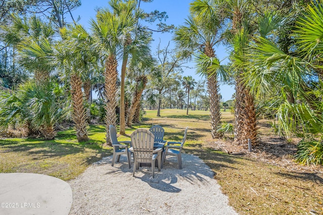 view of yard featuring a patio