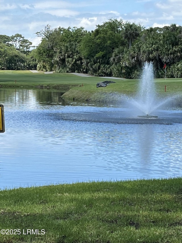 property view of water