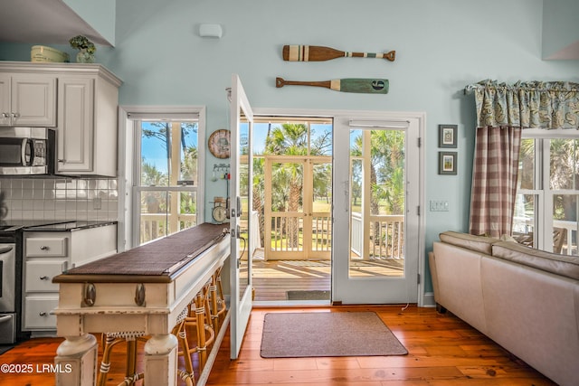 entryway with wood-type flooring