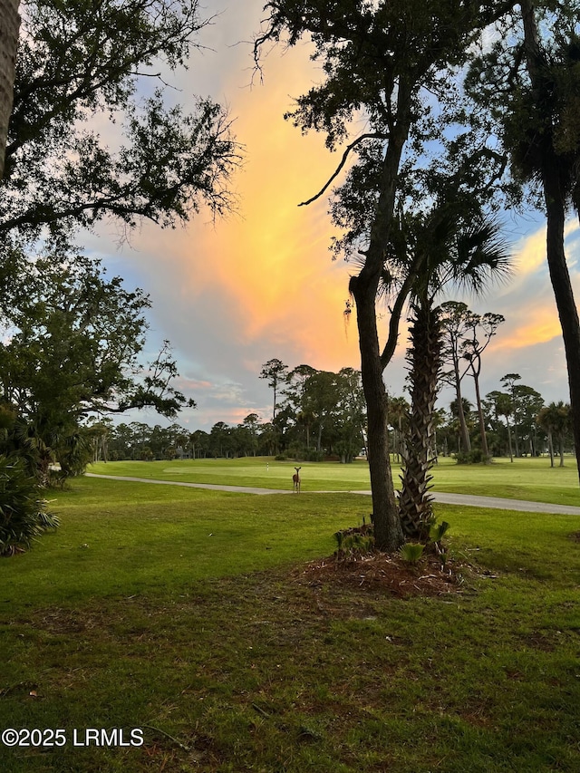 view of property's community with a lawn