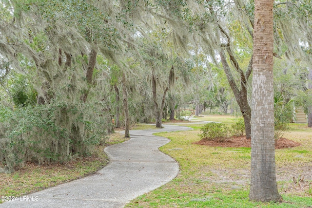 view of home's community featuring a yard