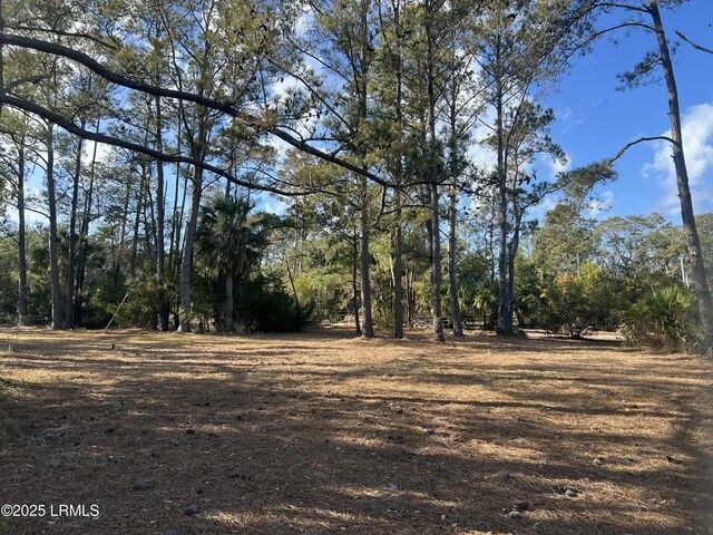 51 Harbor River Cir, Saint Helena Island, SC 29920