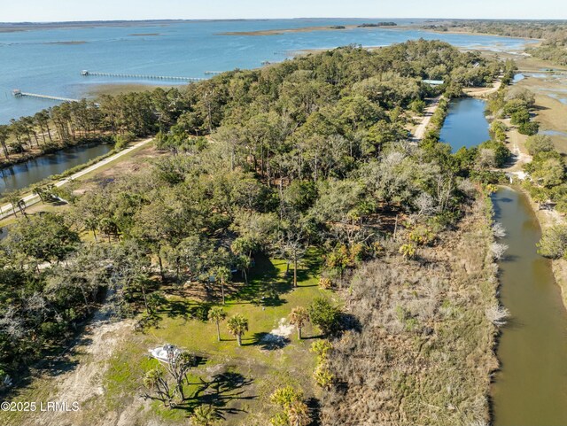 51 Harbor River Cir, Saint Helena Island, SC 29920