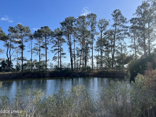 51 Harbor River Cir, Saint Helena Island, SC 29920